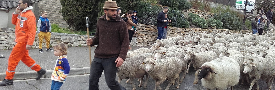 Fête de la Transhumance